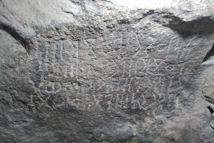 الشرعي الذراع1